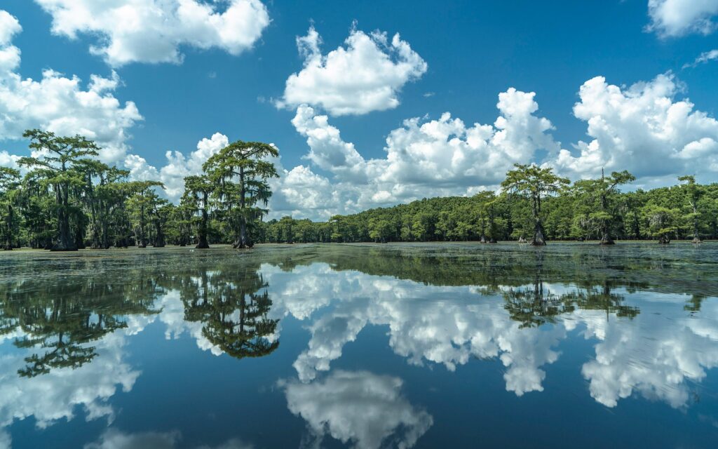 The beauty of East Texas Caddo Lake with Forest
