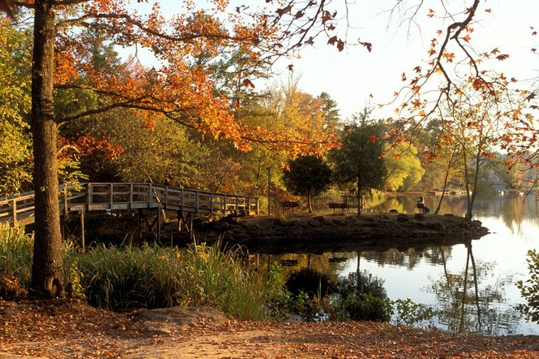 Tyler State Park - East Texas homes for sale